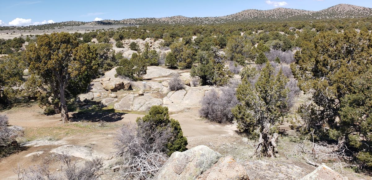 Aerial view of juniper woodland terrain across the Ironside course
