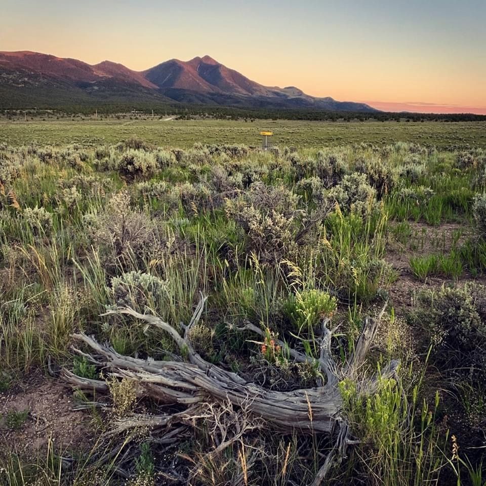 Sagebrush landscape with mountains at sunset near Ward Mountain Recreation Area
